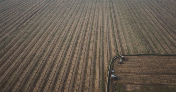 Overview shot of vehicles harvesting field