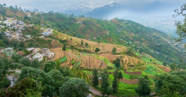 Step Terrace Farming2